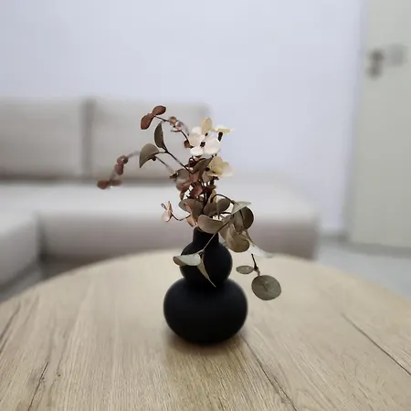 アパート Nevi ティラナ